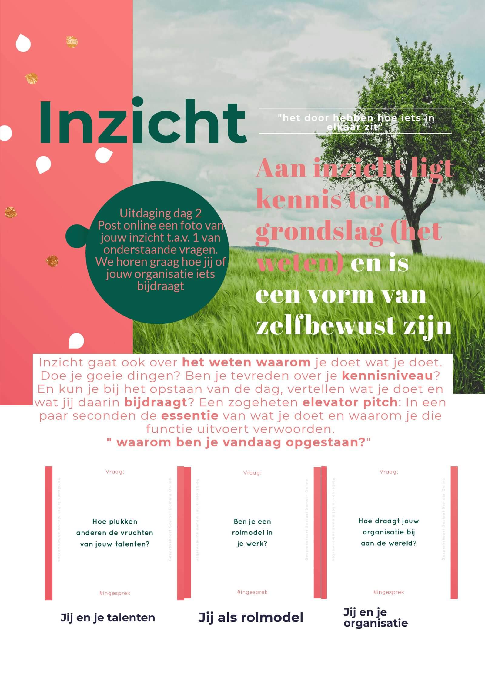 Inzicht